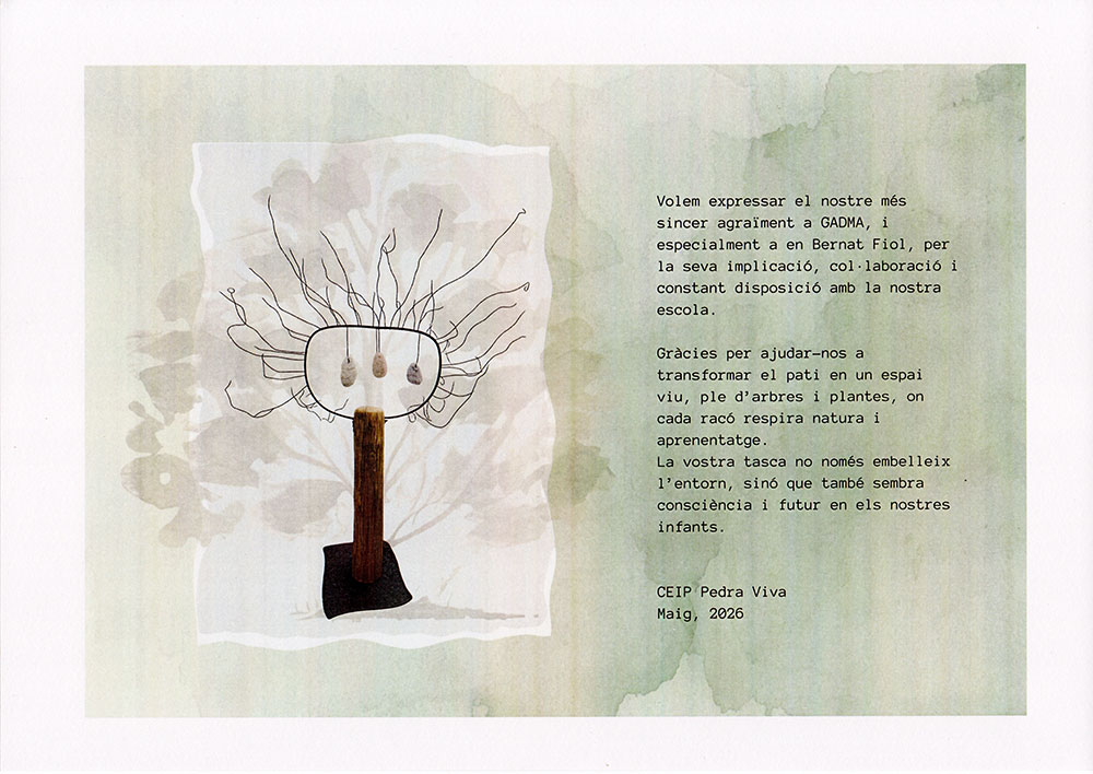 Diploma-de-reconeixement-CEIP-Pedra-Viva